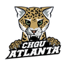 Cheboksary W logo