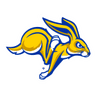 Dakota St. logo