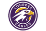 Lourdes logo