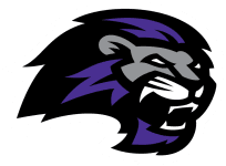 Paine logo