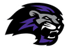 Paine logo