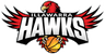 Illawarra Hawks 2 logo