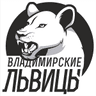 Vladimir W logo