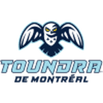 Montreal Toundra logo