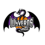 Yamagata Wyverns logo