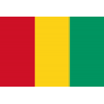 Guinea U17 logo