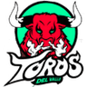 Toros del Valle logo