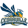 Cedarville W logo
