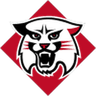 Davidson W logo