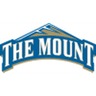 Mount St. Mary's W logo