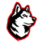 Northeastern W logo