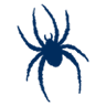 Richmond Spiders W logo