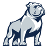 Samford Bulldogs W logo