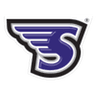 Stonehill Skyhawks W logo