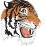 Tennessee State W logo