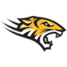 Towson Tigers W logo