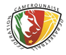 Cameroon U19 logo