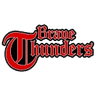 Brave Thunders logo