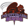 CCNY logo