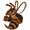 Waynesburg logo