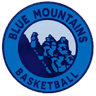 Blue Mountain W logo