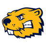 Buena Vista W logo