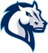 Mercy Mavericks W logo