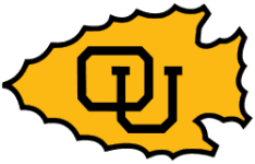 Ottawa Braves W logo
