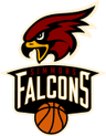 Simmons College Falcons W logo
