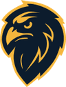 ADS Sentinels logo