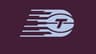 Toronto Tempo W logo