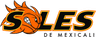 Soles logo