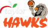 Bay Hawks logo