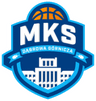 Dabrowa Gornicza logo