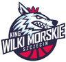 Szczecin logo