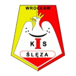 Sleza Wroclaw W logo