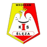 Sleza Wroclaw W logo