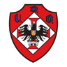 Oliveirense logo